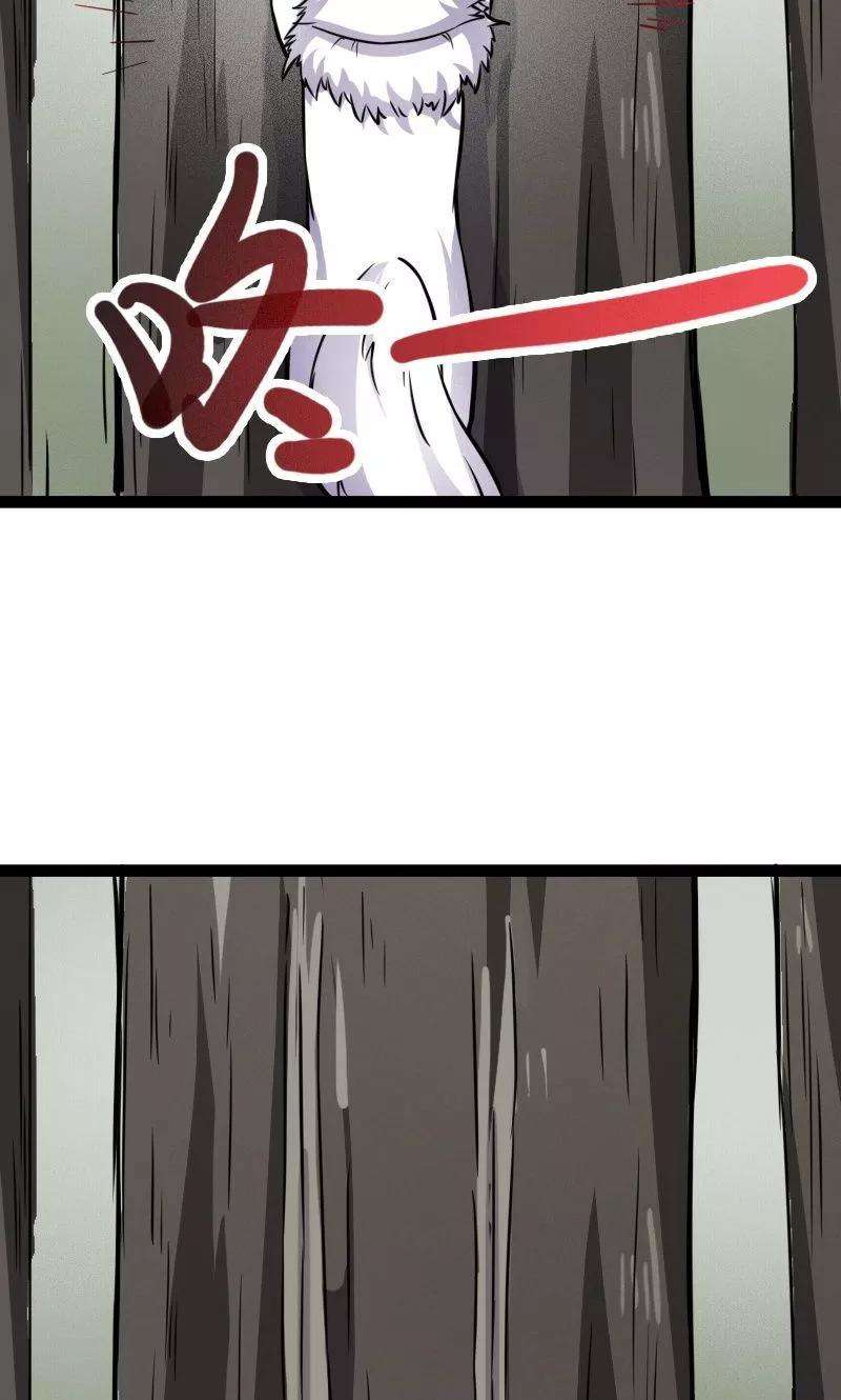 30.jpg