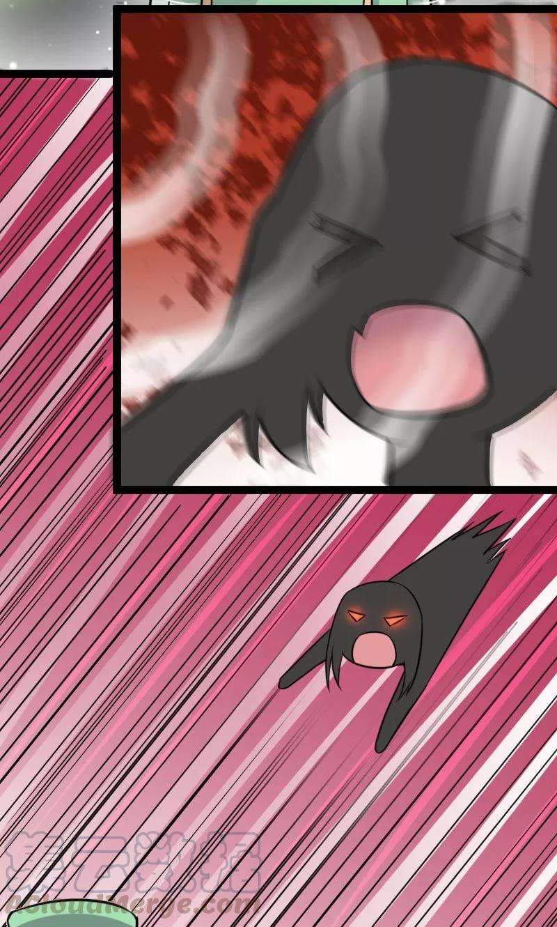 39.jpg