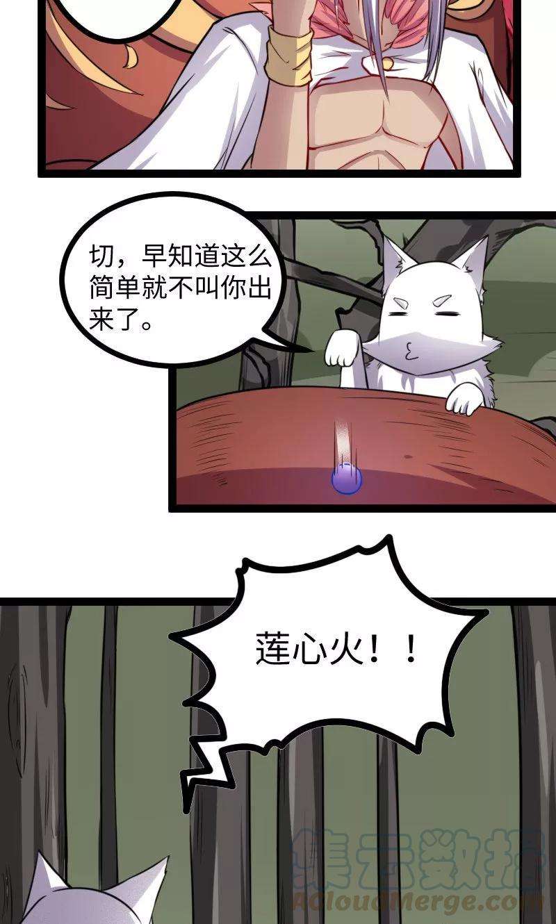 21.jpg