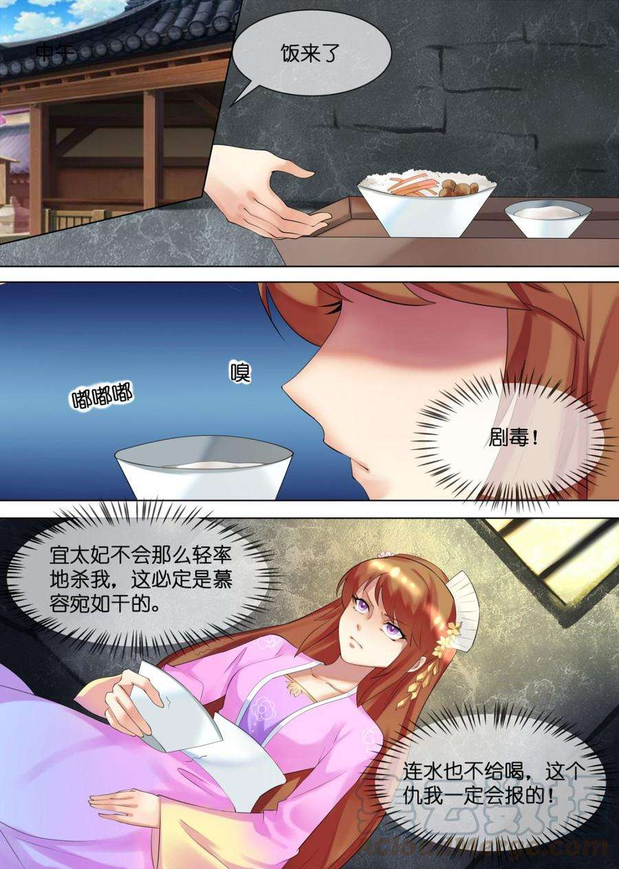 5.jpg