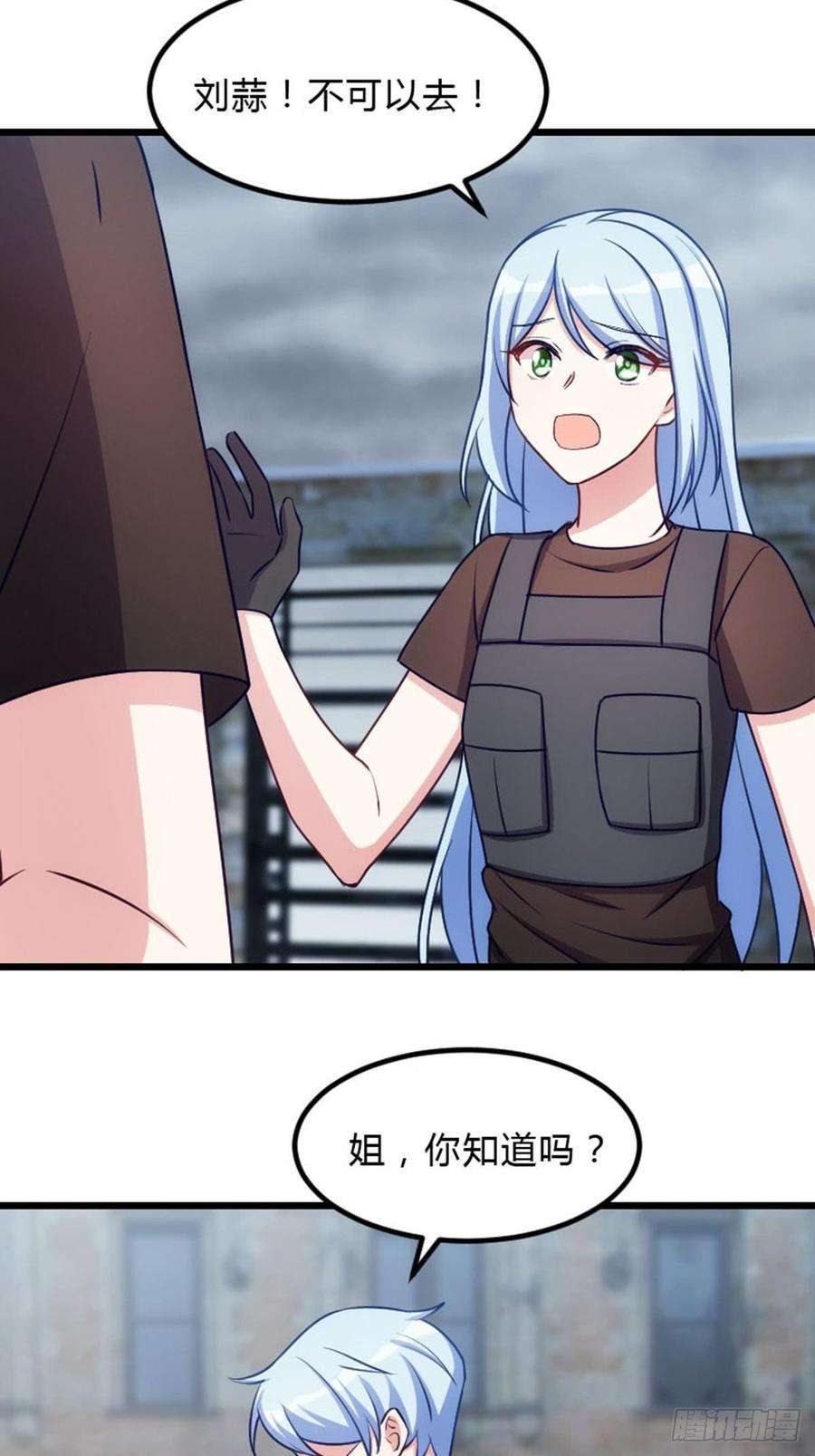 11.jpg