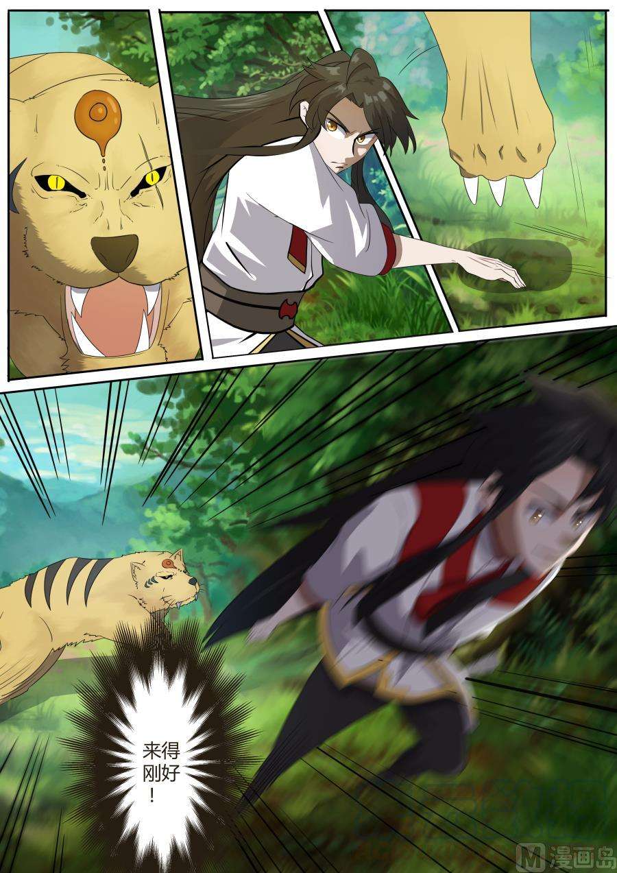 11.jpg