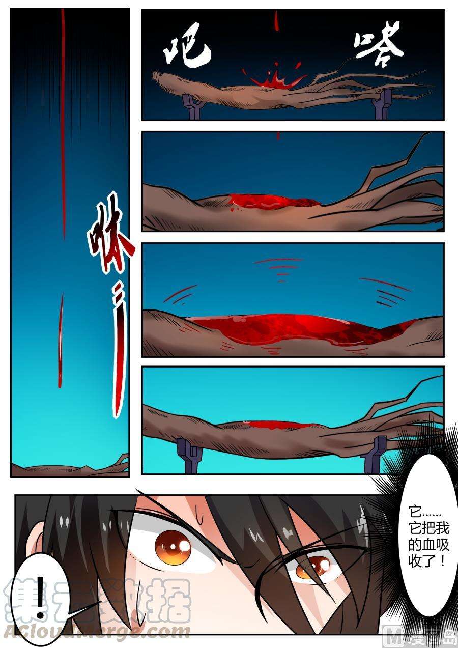 9.jpg