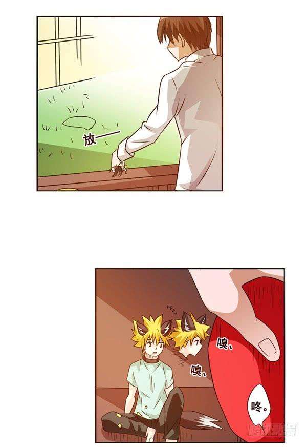 27.jpg