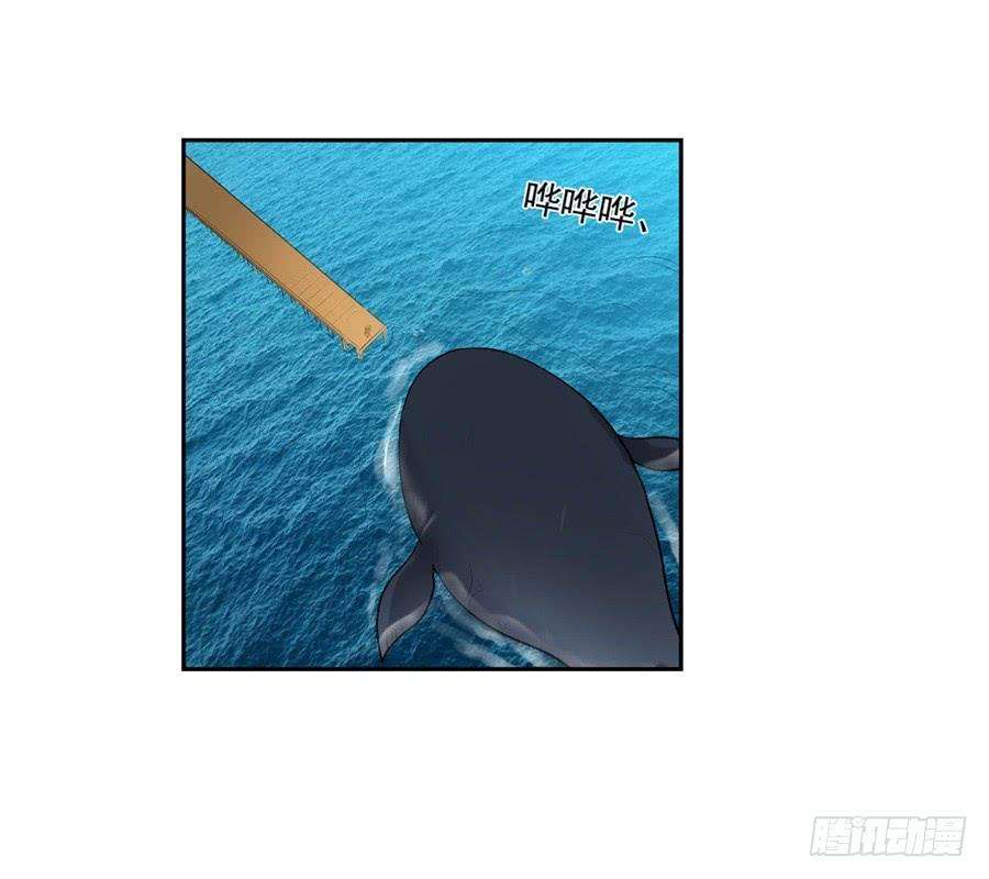 54.jpg