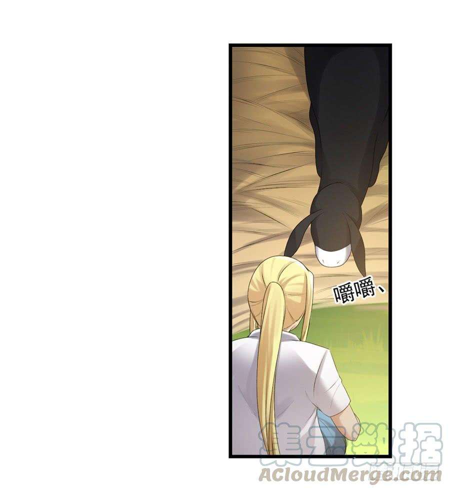 29.jpg