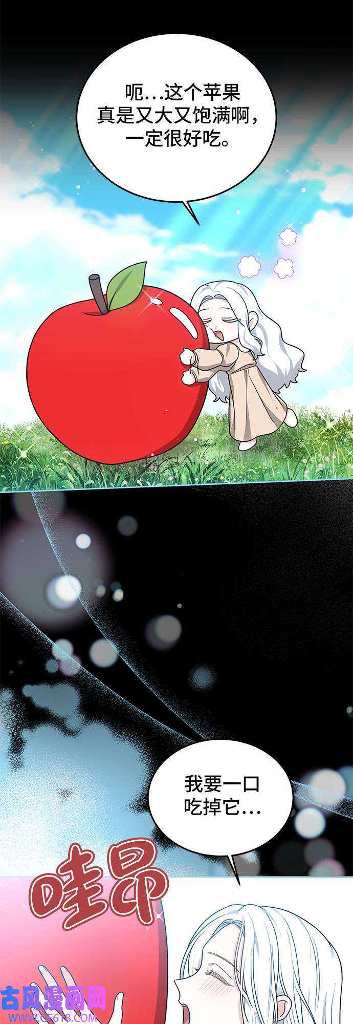 5.jpg