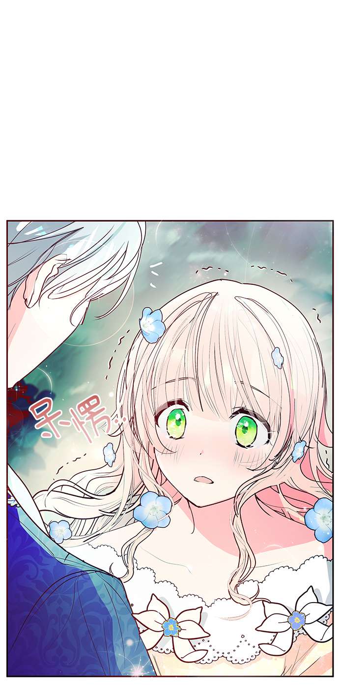 41.jpg