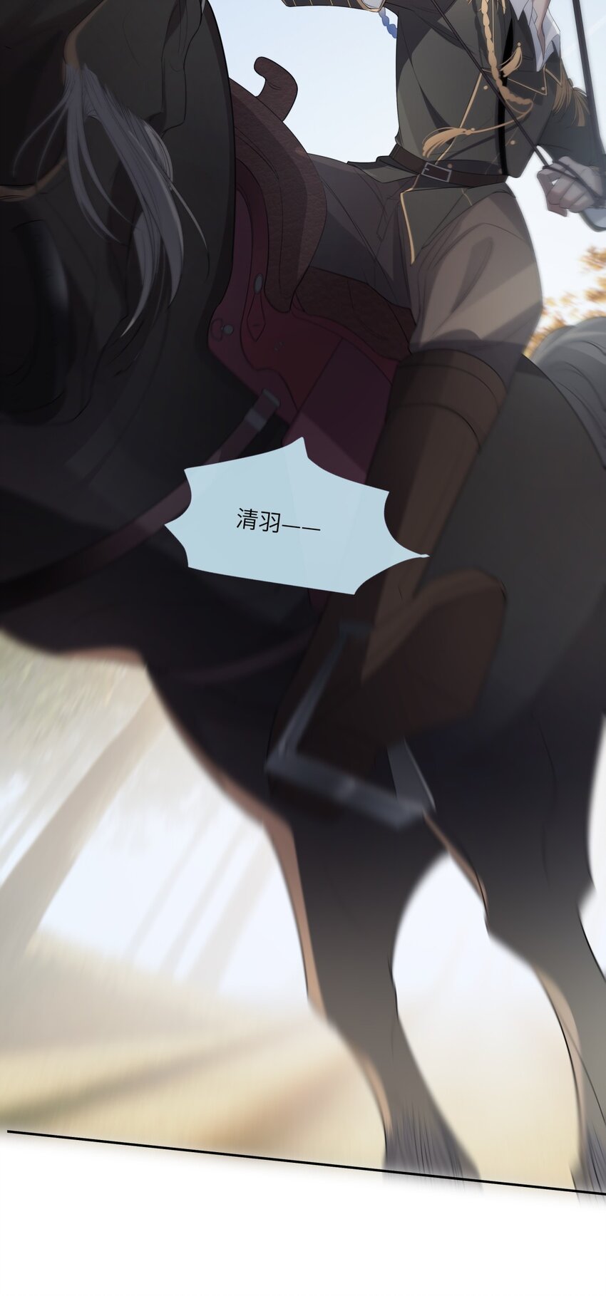 41.jpg