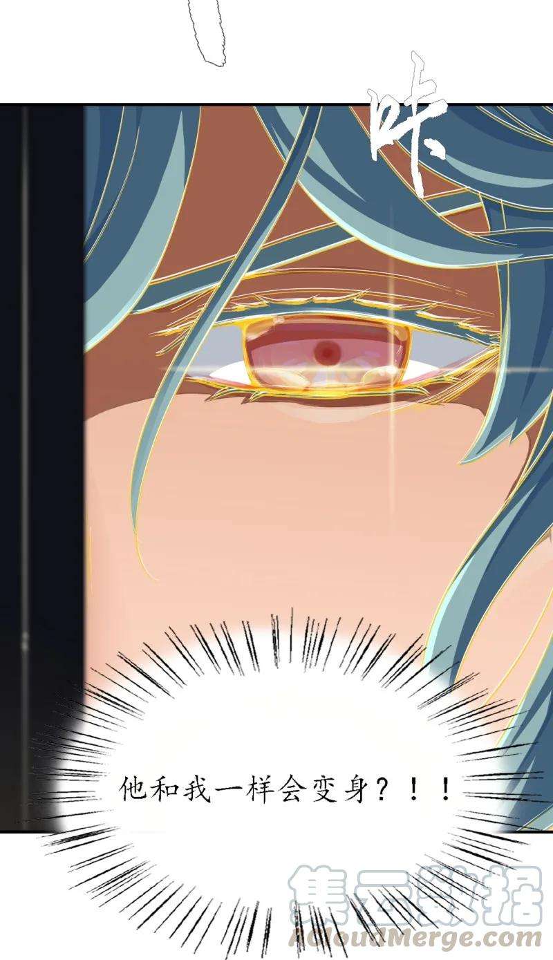 33.jpg