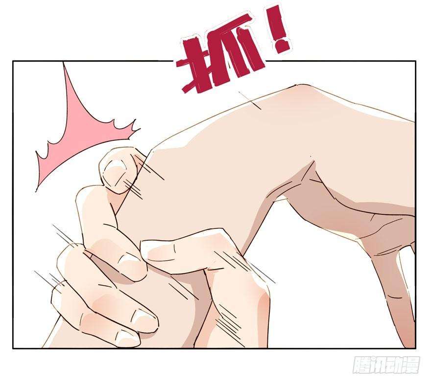 23.jpg
