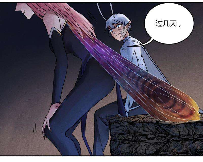 32.jpg