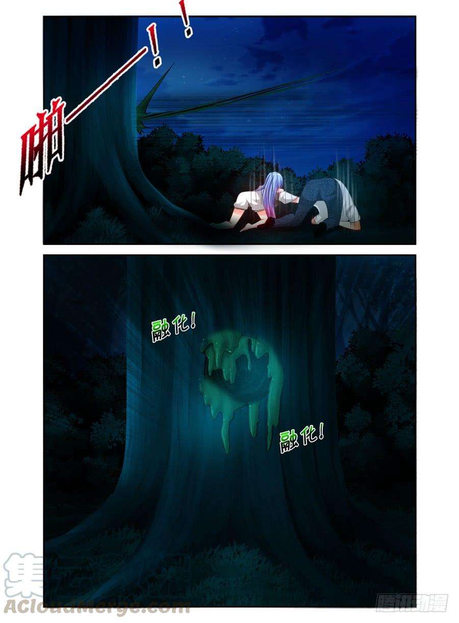 11.jpg