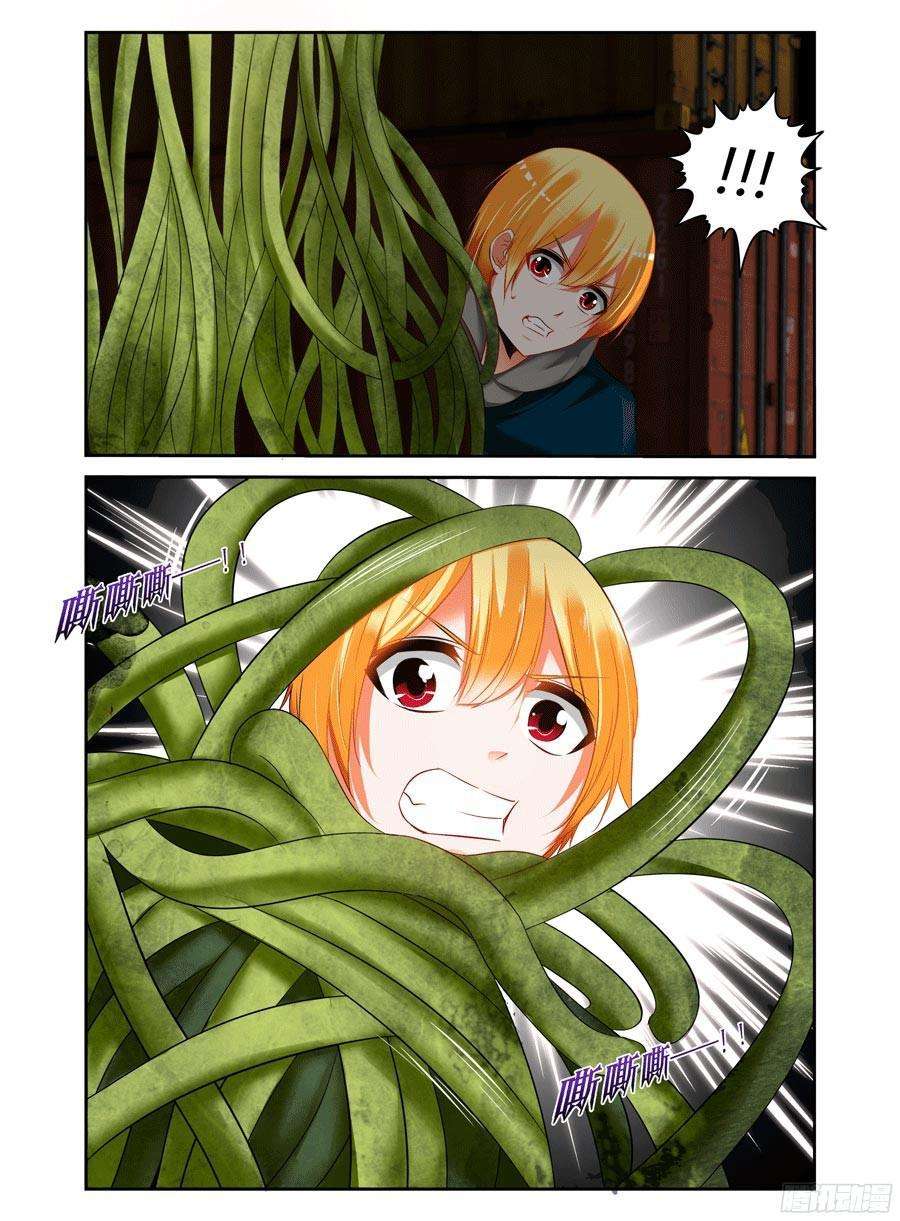 18.jpg