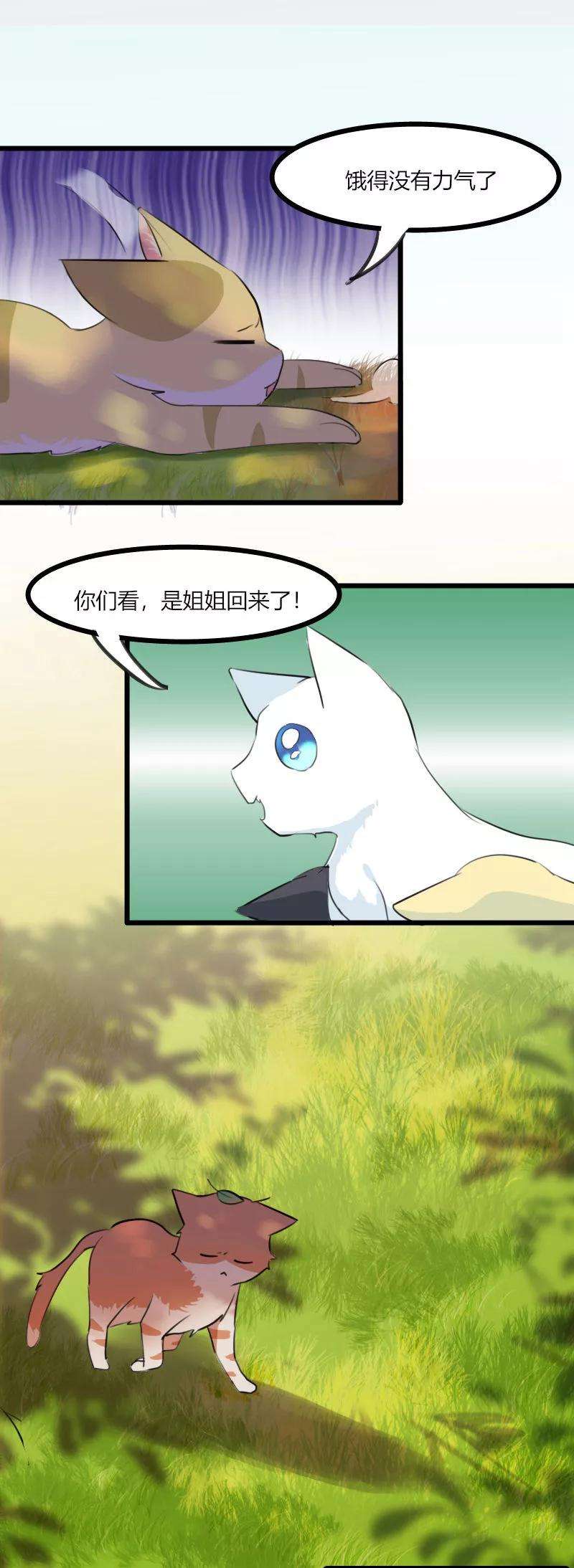 2.jpg