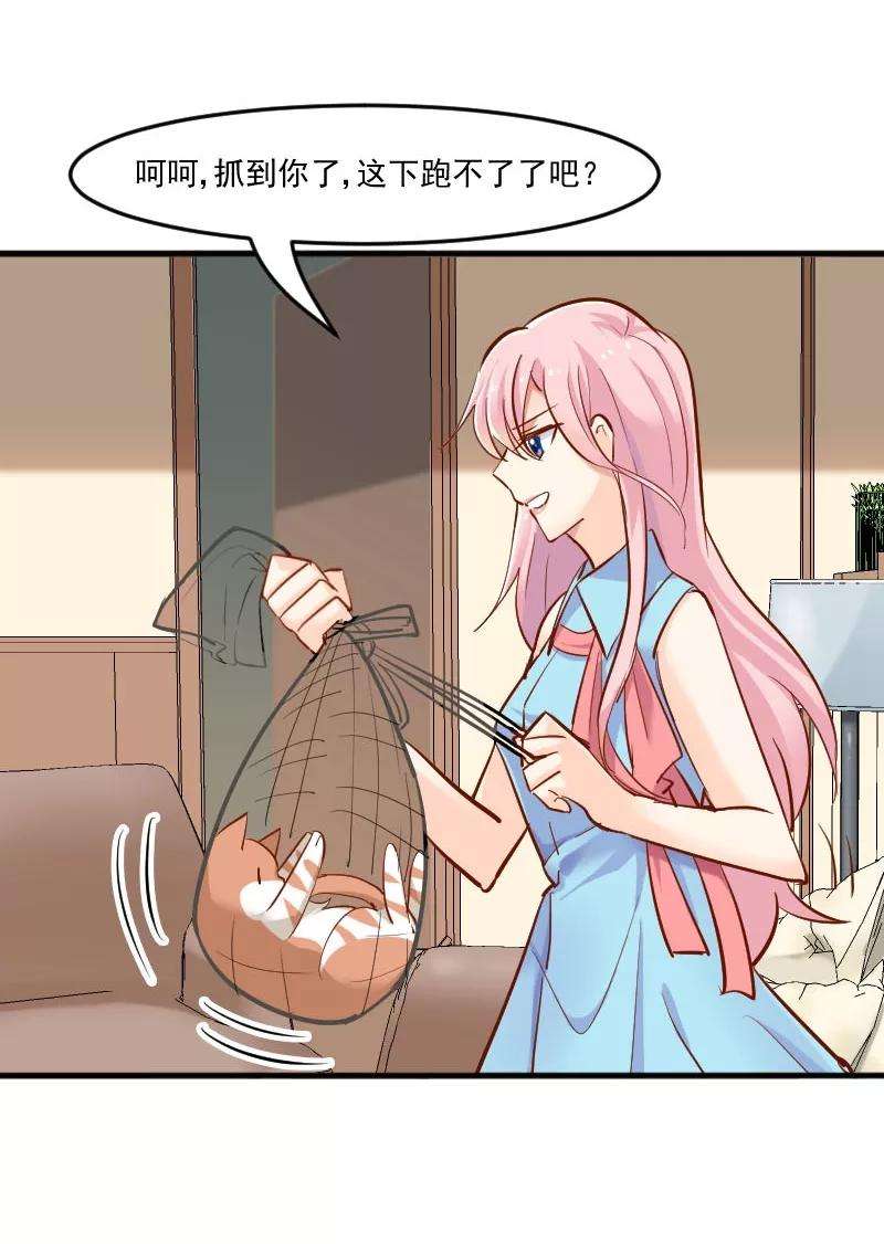 19.jpg