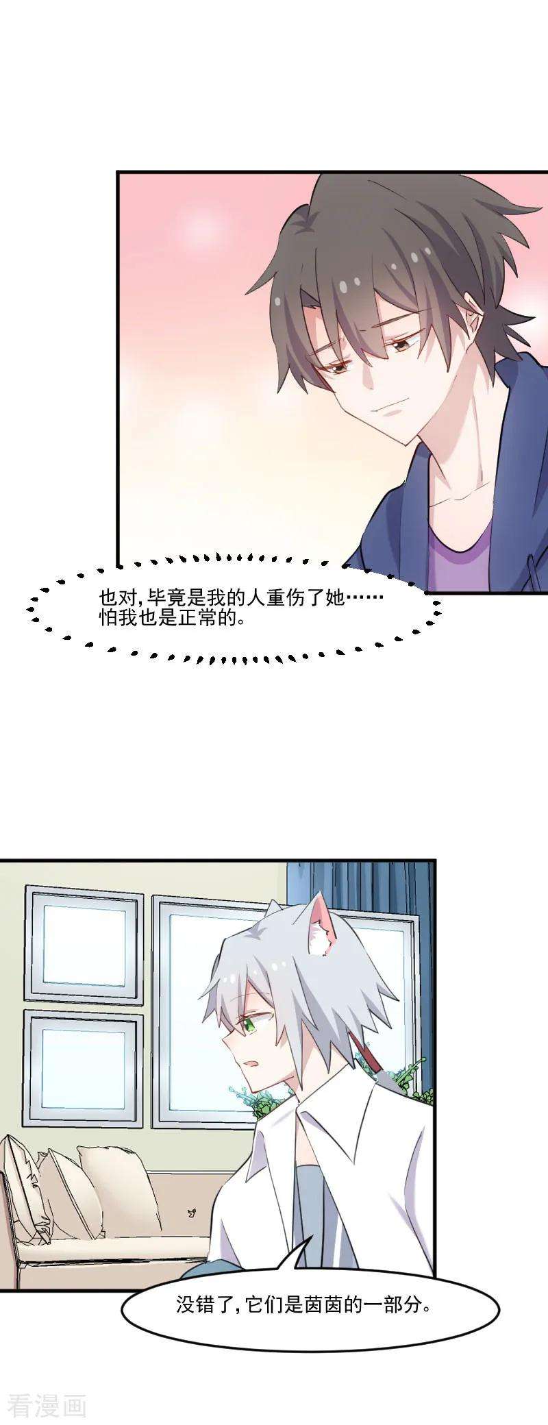 15.jpg