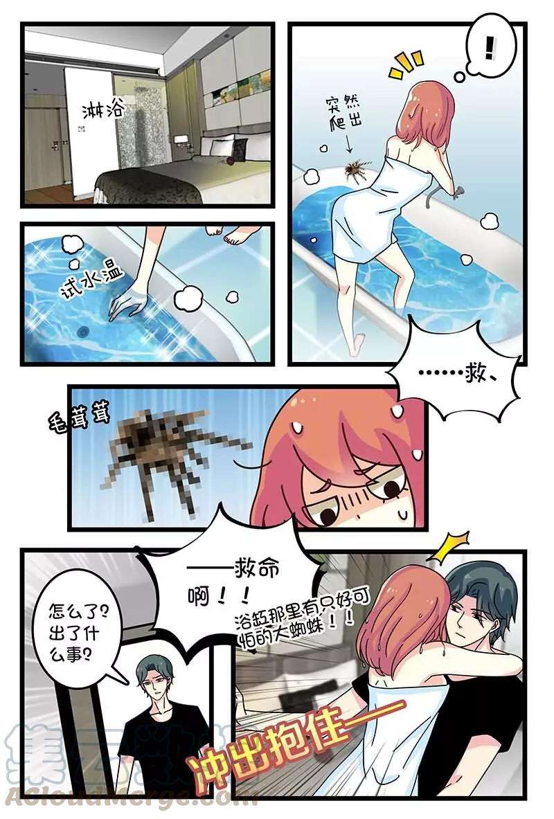 7.jpg