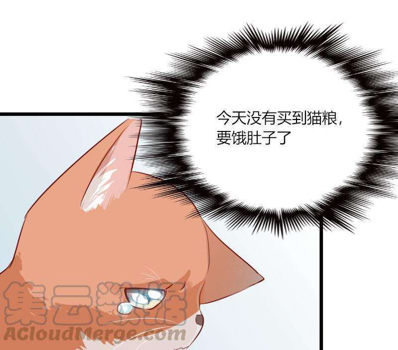 101.jpg