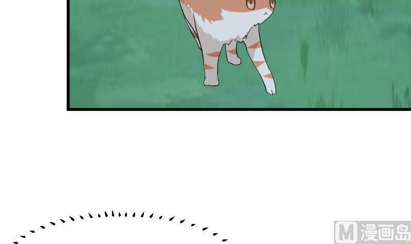 106.jpg