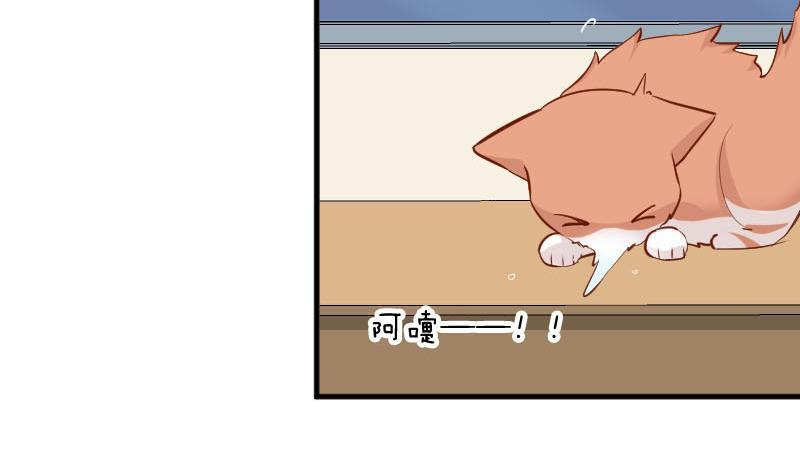 52.jpg