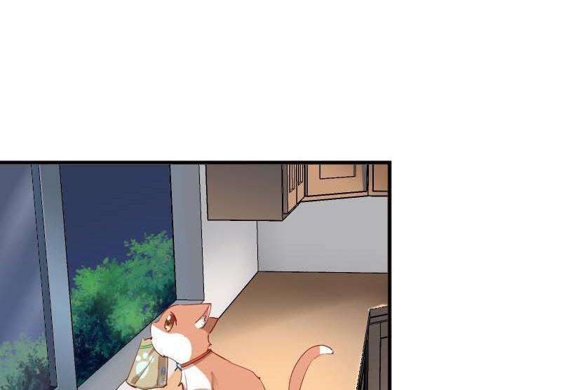 44.jpg