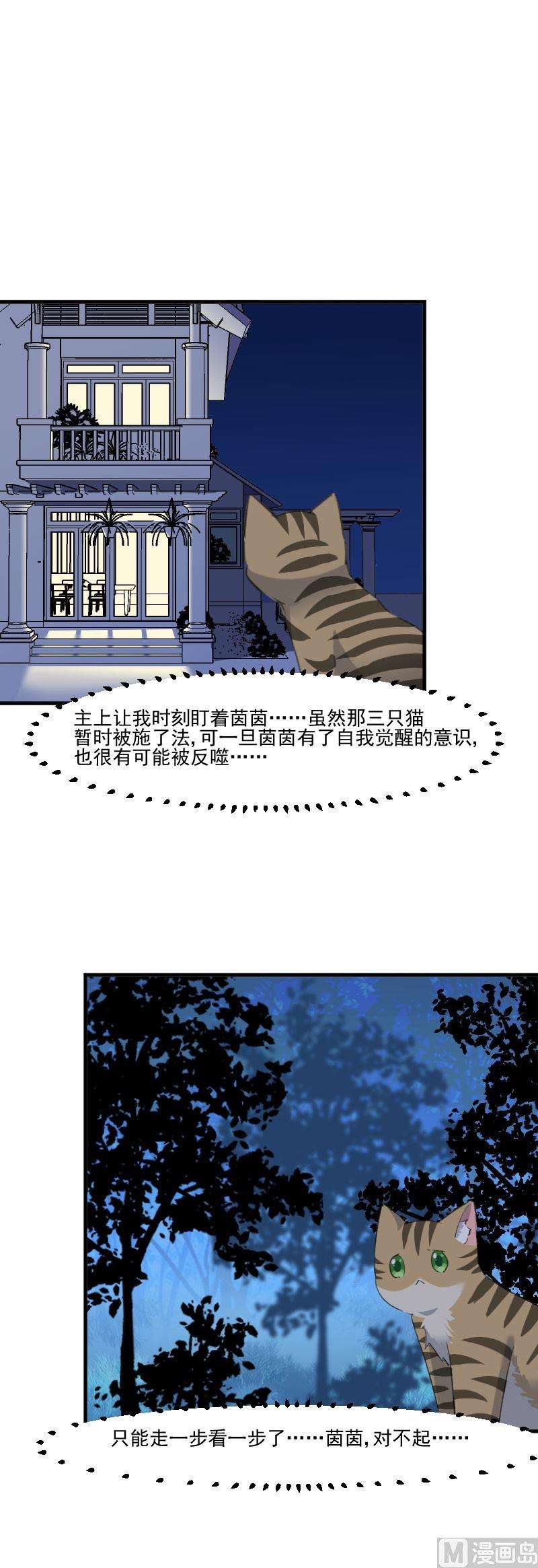 47.jpg