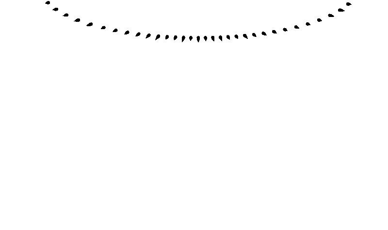 54.jpg