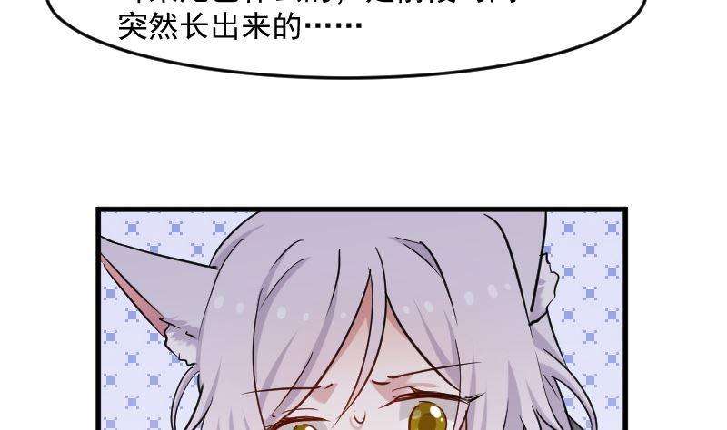 51.jpg