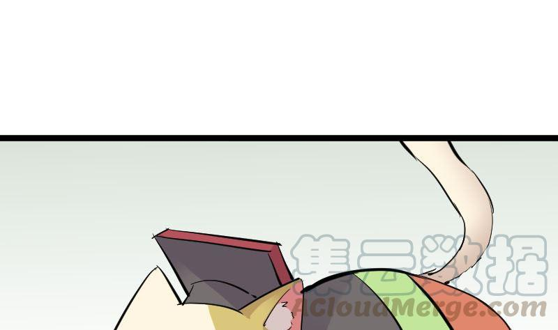49.jpg