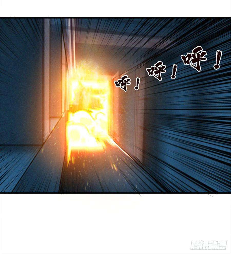 31.jpg