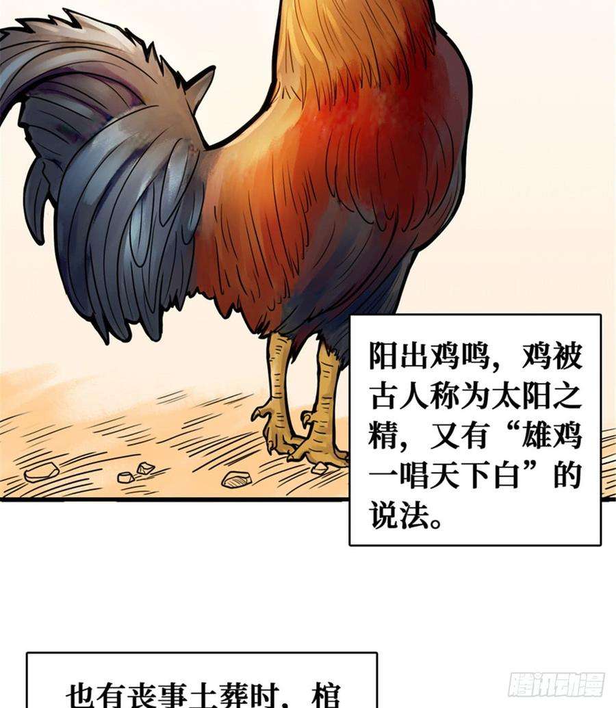 48.jpg