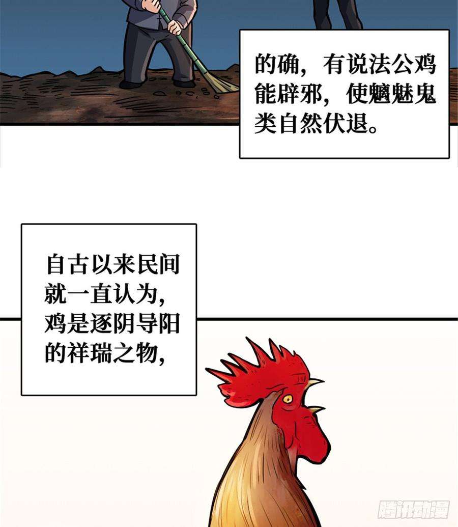47.jpg