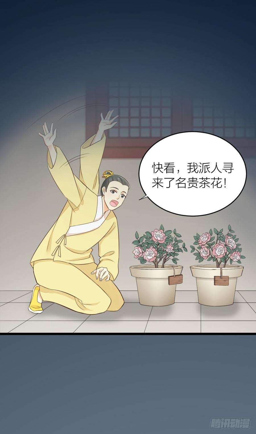 5.jpg