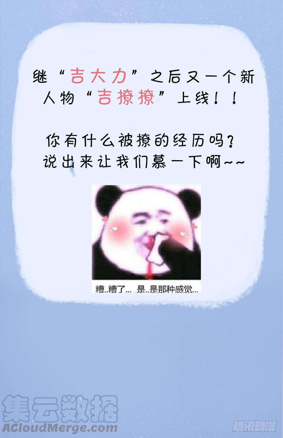 51.jpg