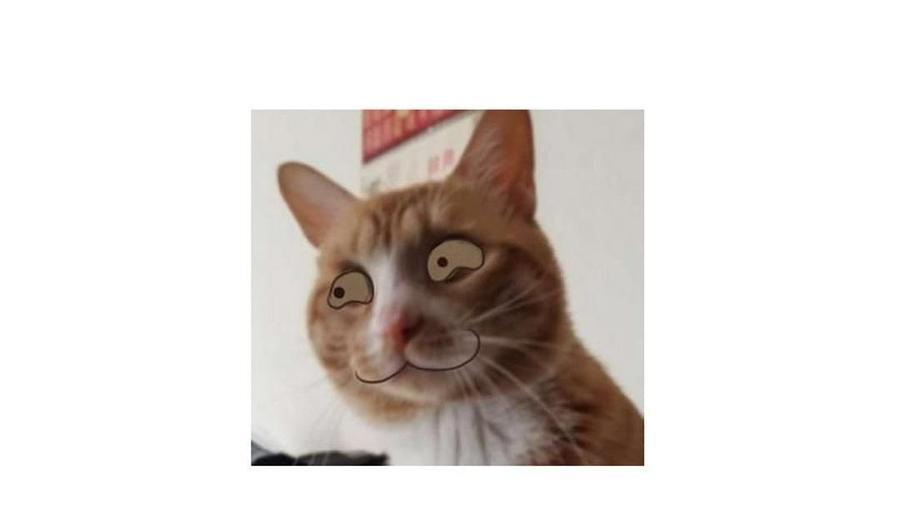 43.jpg