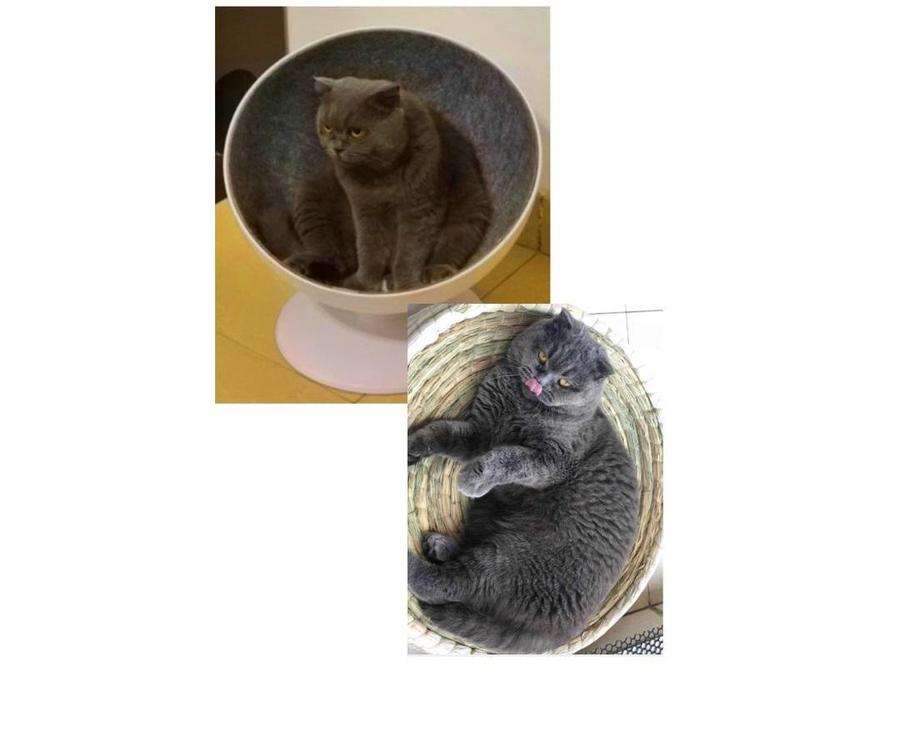 57.jpg