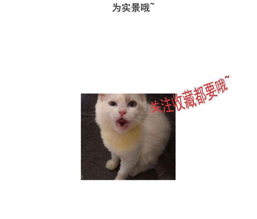 58.jpg