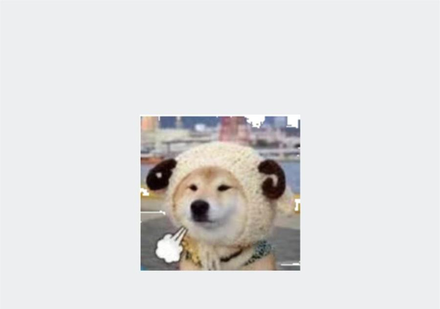 52.jpg