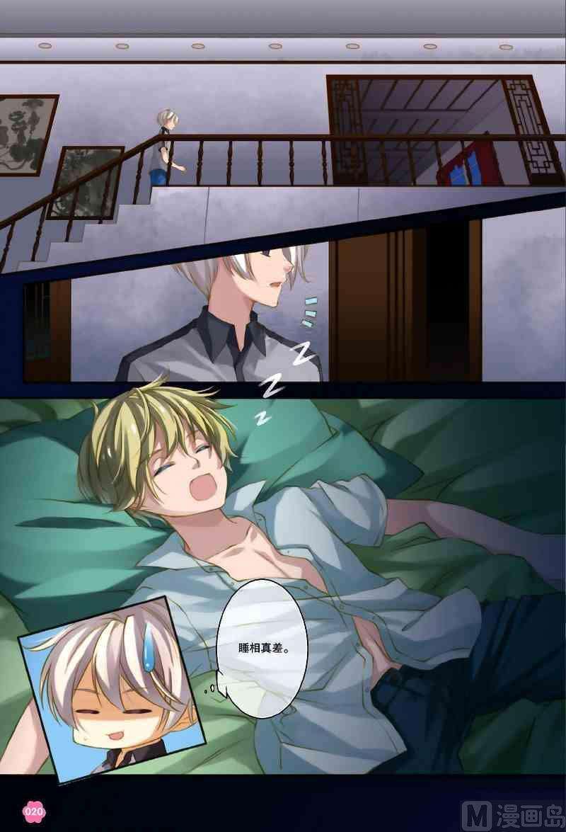15.jpg