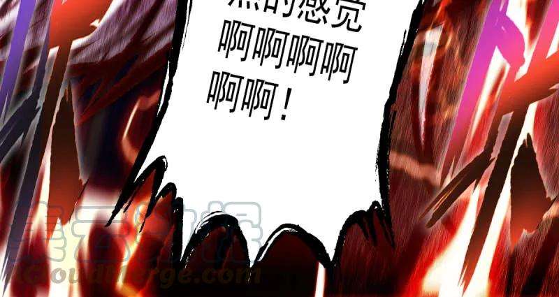 225.jpg