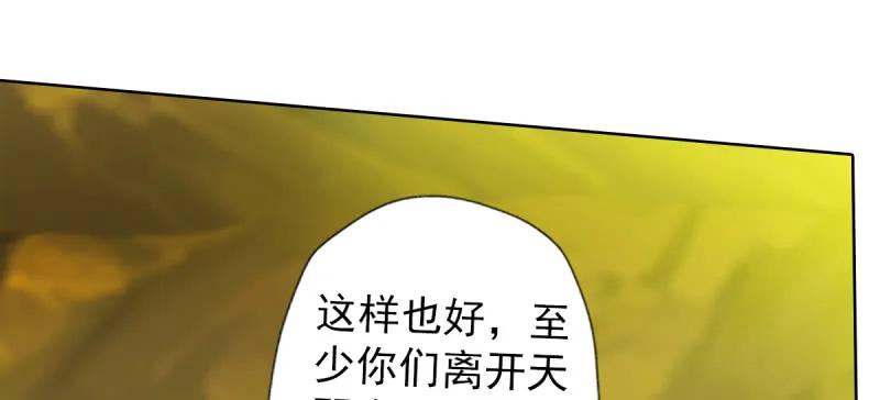 146.jpg