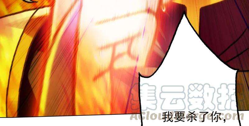 241.jpg