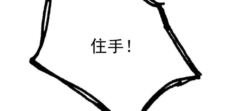 113.jpg