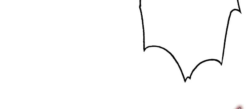 242.jpg