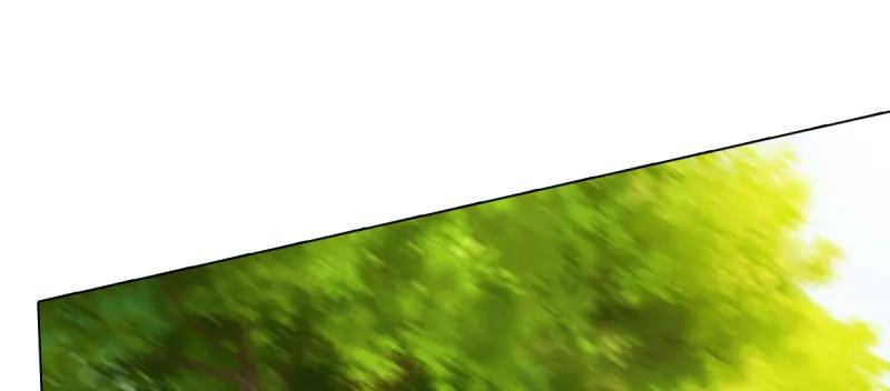 232.jpg
