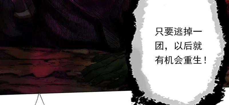 103.jpg