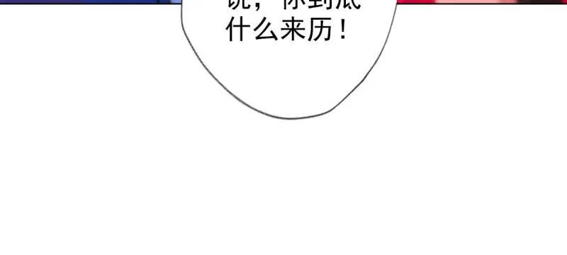 137.jpg