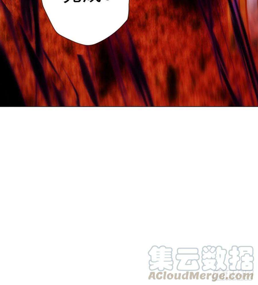 81.jpg