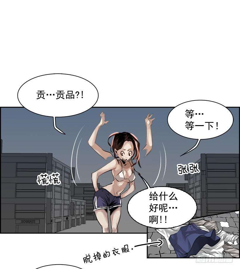 17.jpg